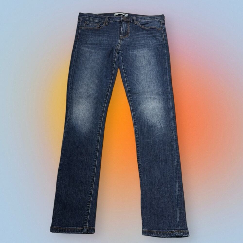 BANANA REPUBLIC Women’s 28 Skinny Blue Jeans